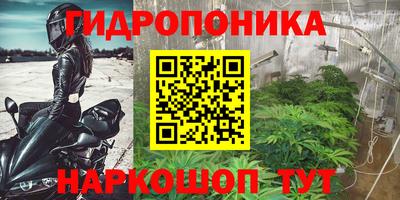 МДПВ Рязань