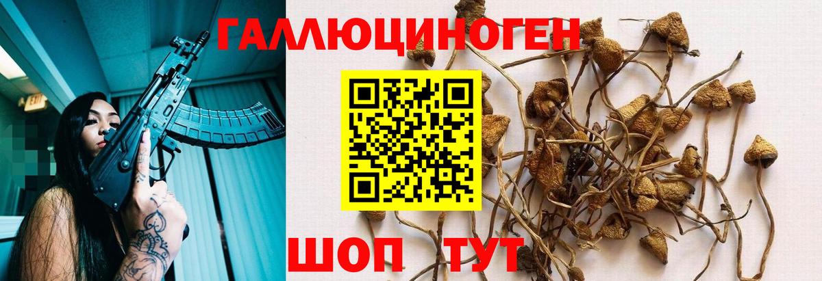 Псилоцибиновые грибы MAGIC MUSHROOMS Первоуральск